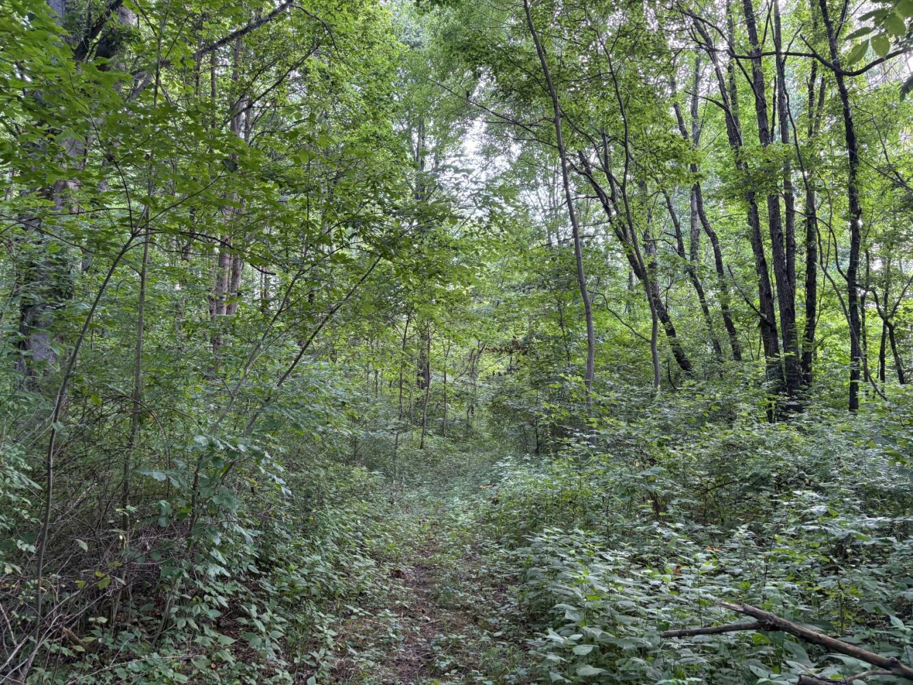 Land for Sale in Franklin County, IN (23 of 64)