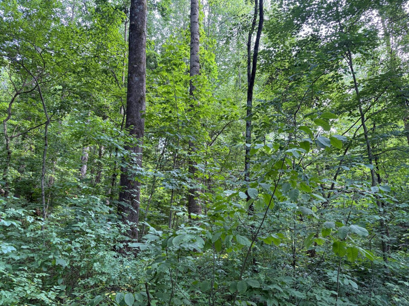 Land for Sale in Franklin County, IN (25 of 64)