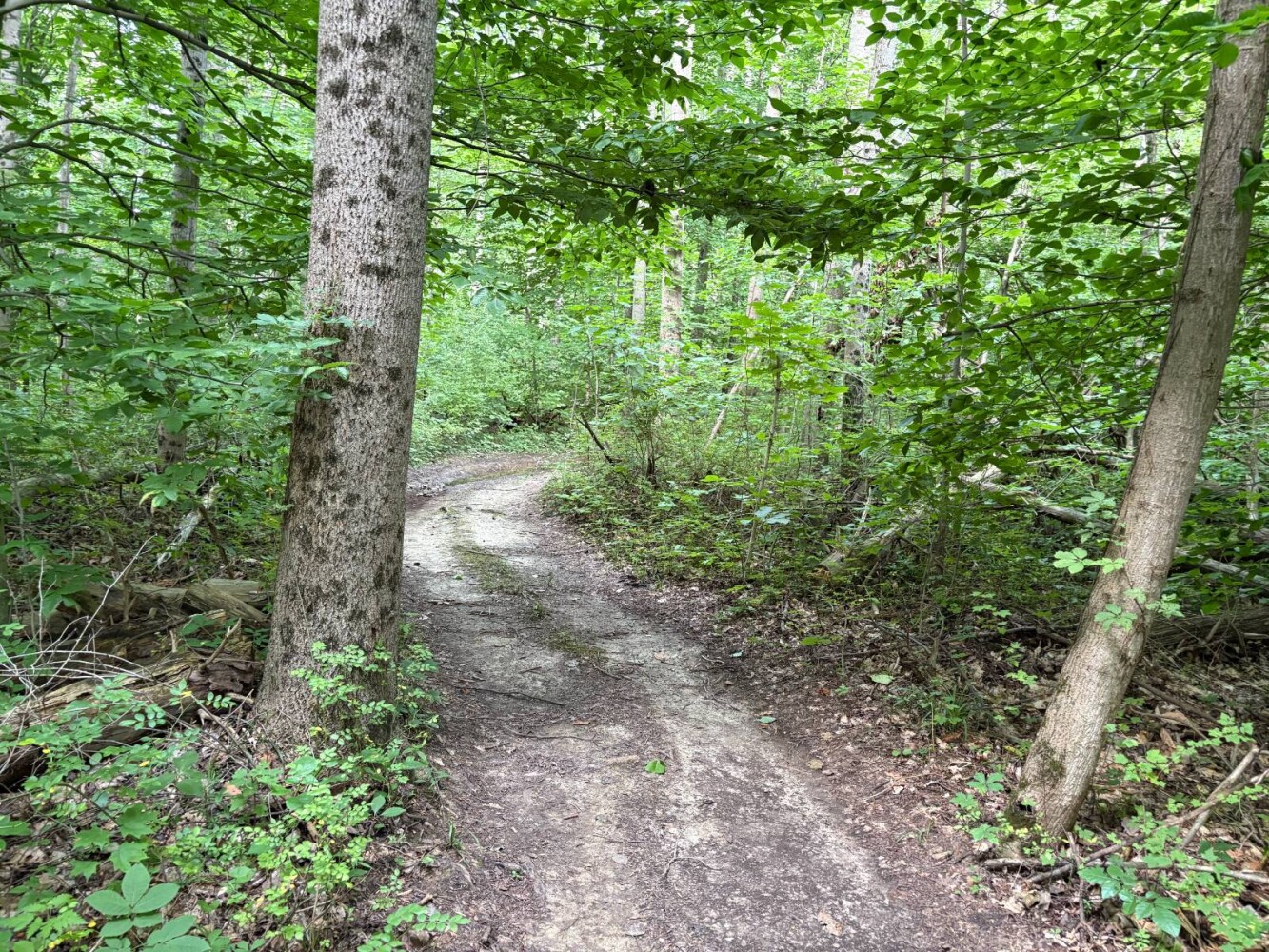 Land for Sale in Franklin County, IN (29 of 64)
