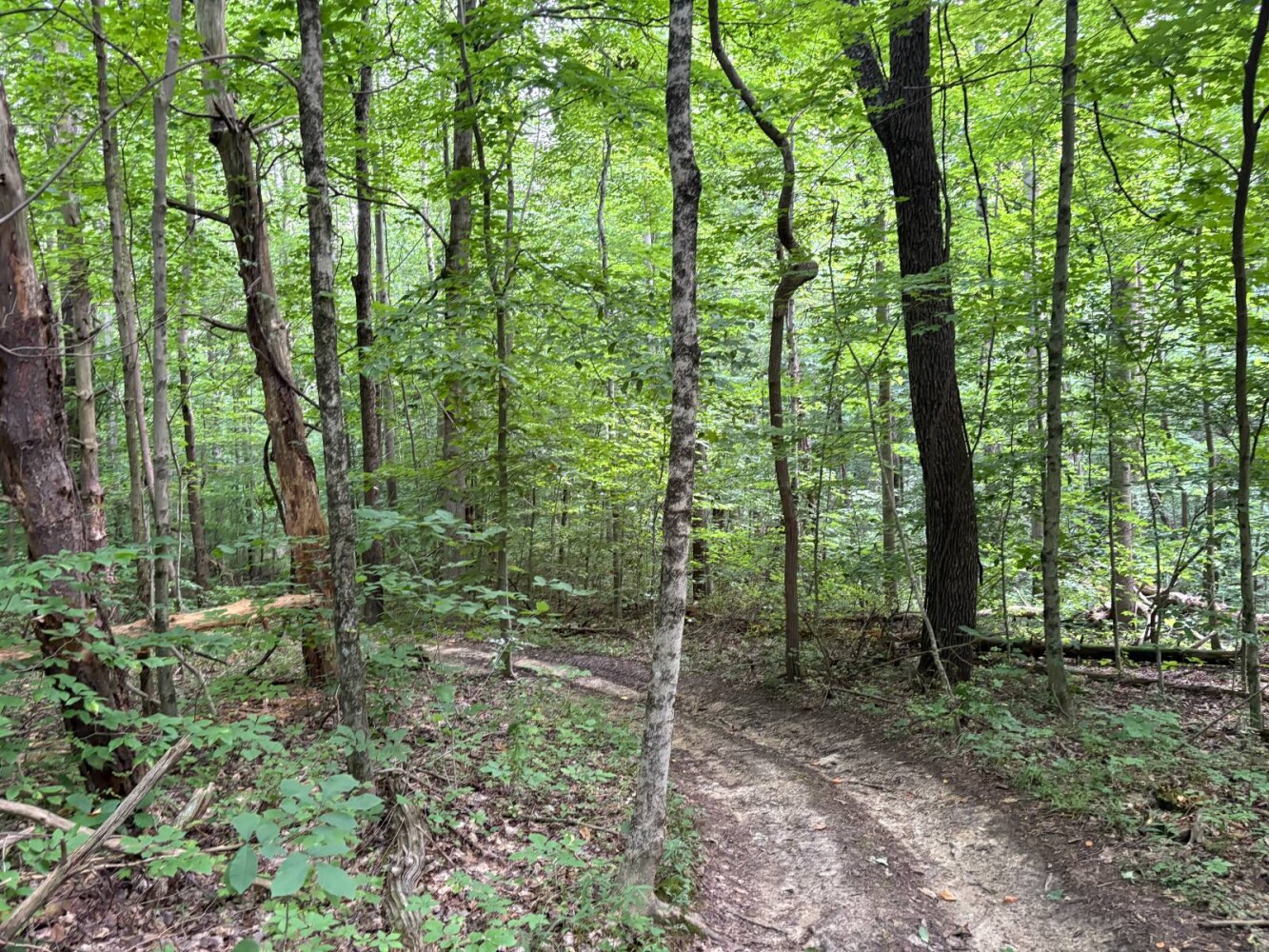 Land for Sale in Franklin County, IN (30 of 64)