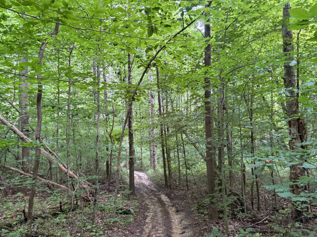 Land for Sale in Franklin County, IN (31 of 64)