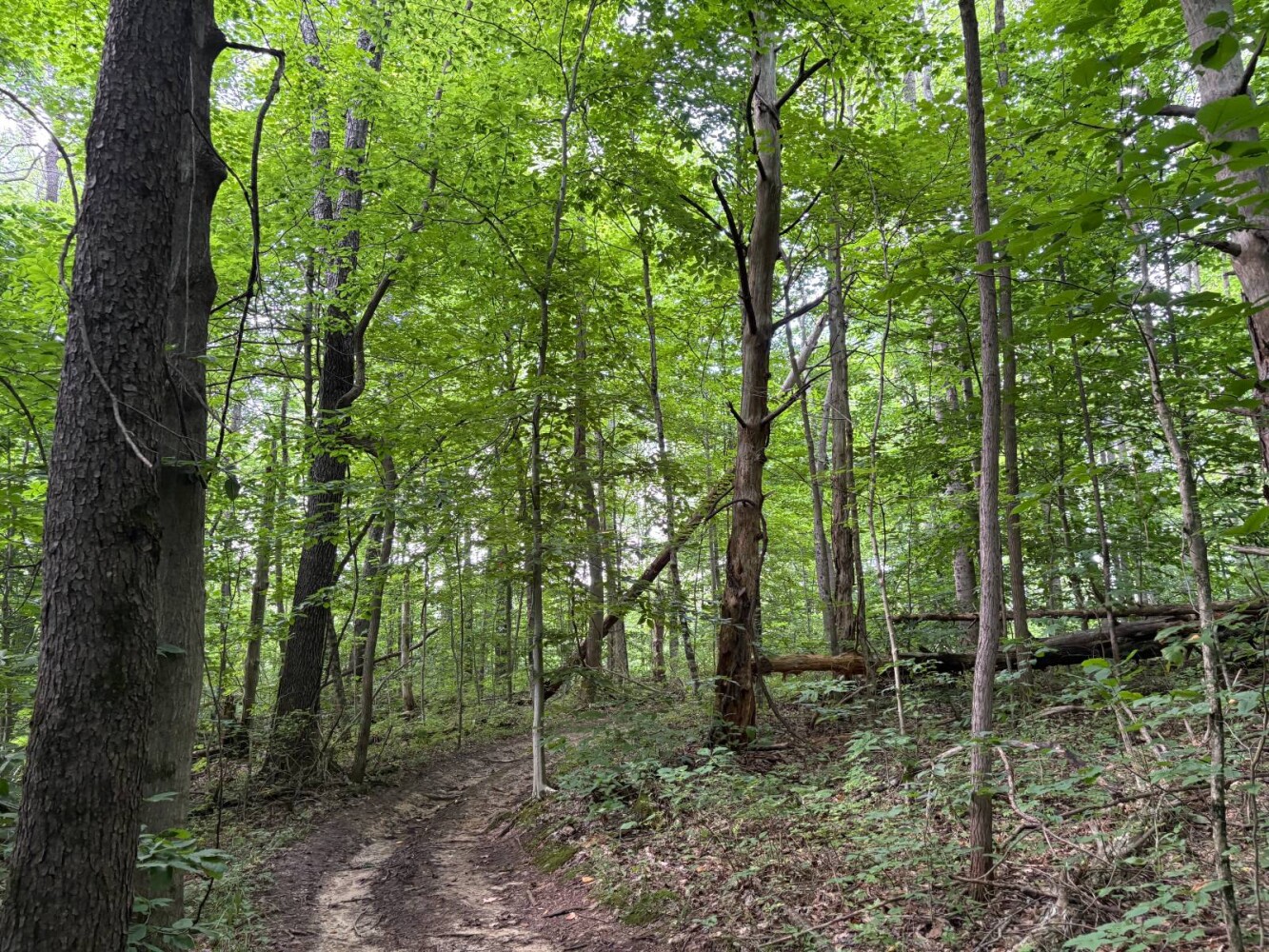 Land for Sale in Franklin County, IN (32 of 64)