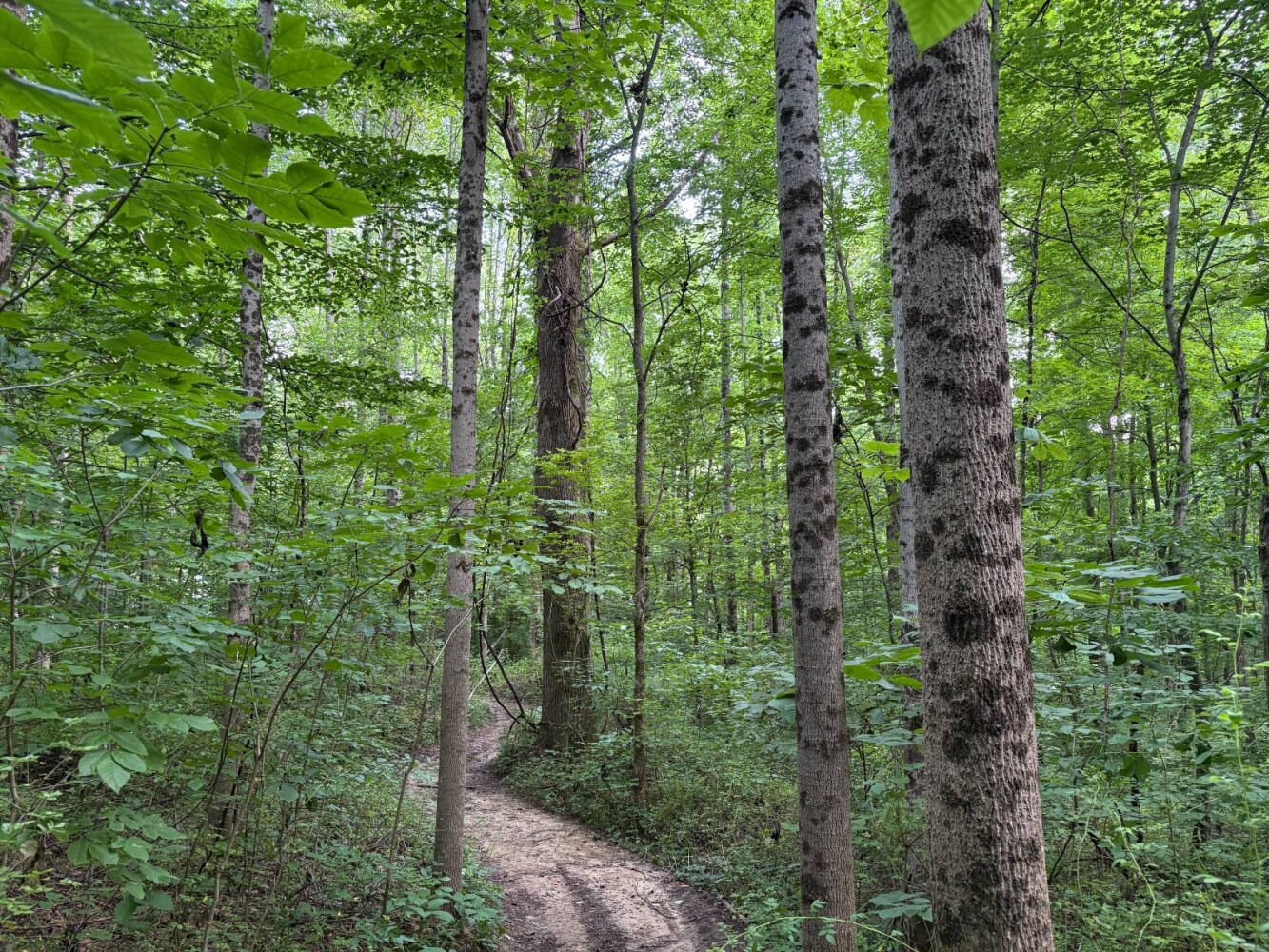 Land for Sale in Franklin County, IN (33 of 64)