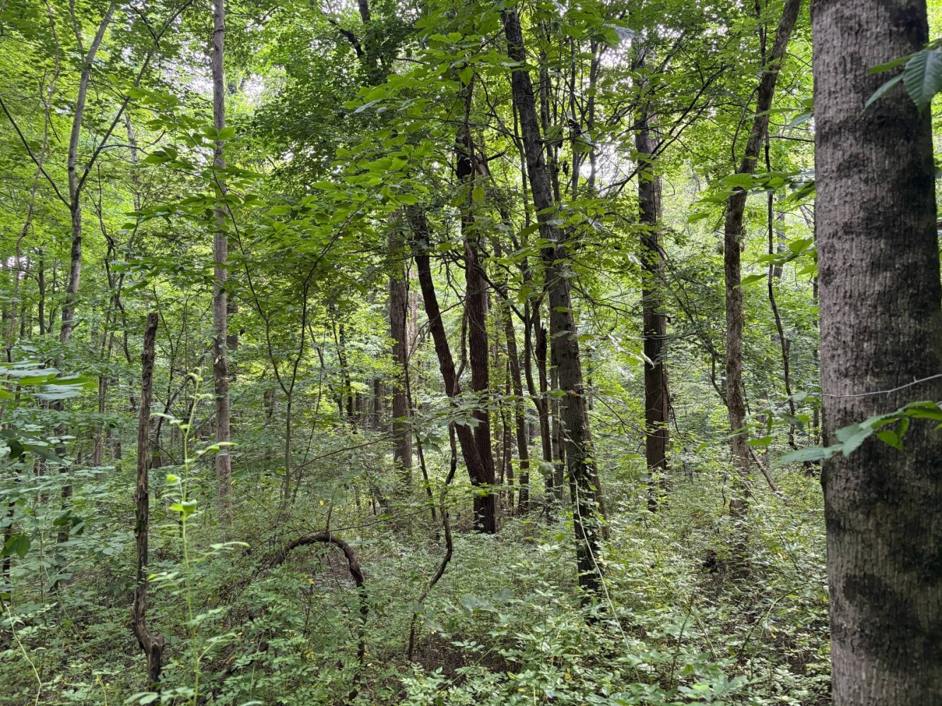 Land for Sale in Franklin County, IN (34 of 64)
