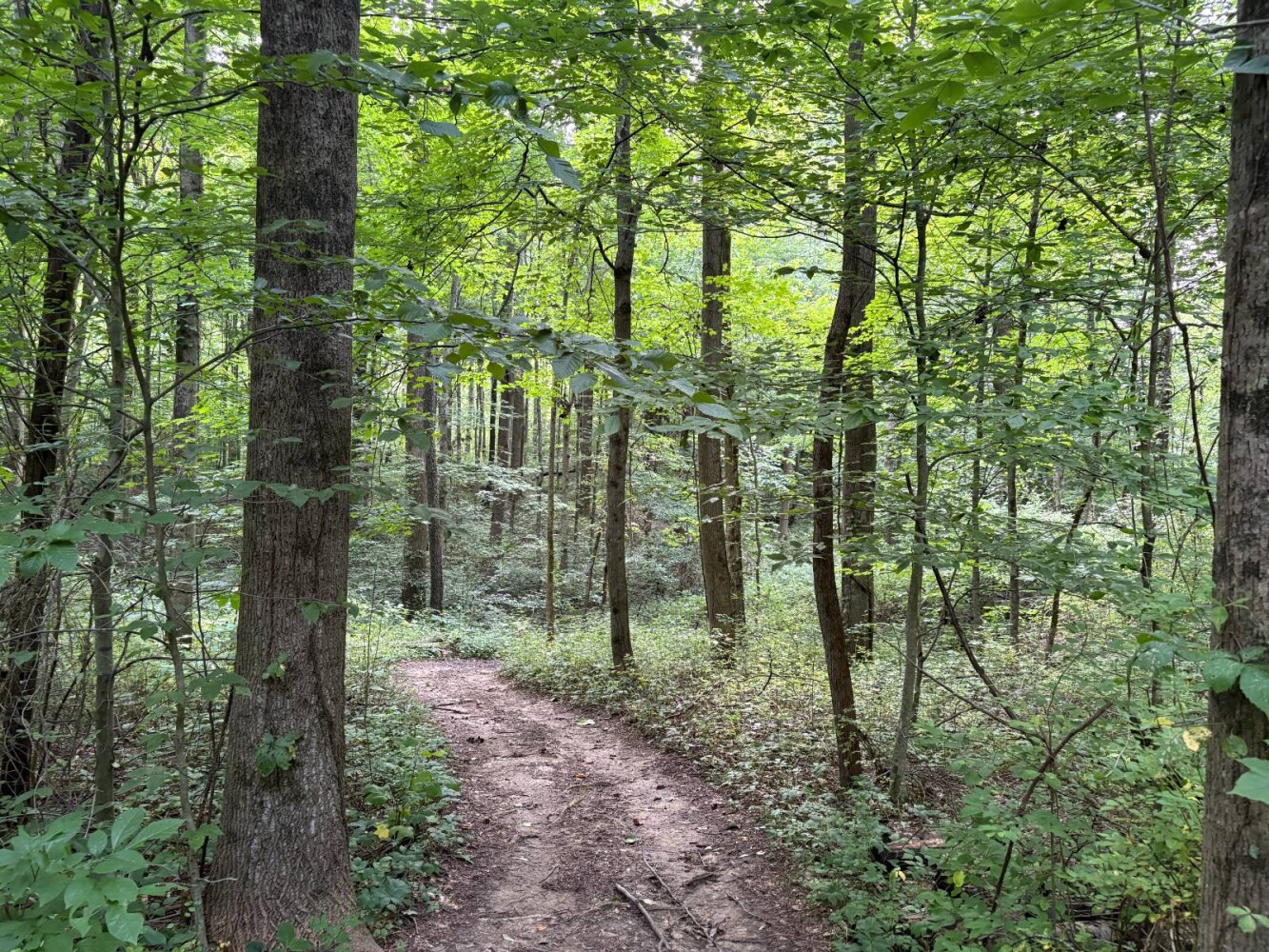 Land for Sale in Franklin County, IN (35 of 64)