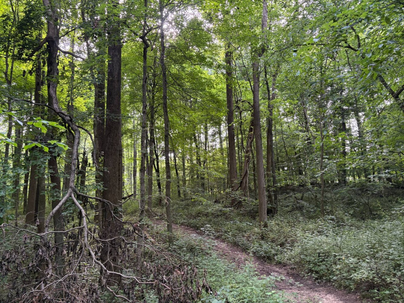 Land for Sale in Franklin County, IN (39 of 64)