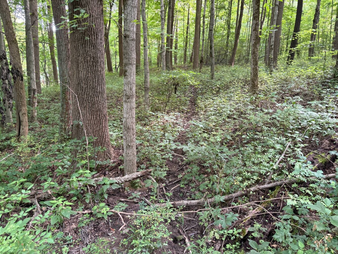 Land for Sale in Franklin County, IN (41 of 64)