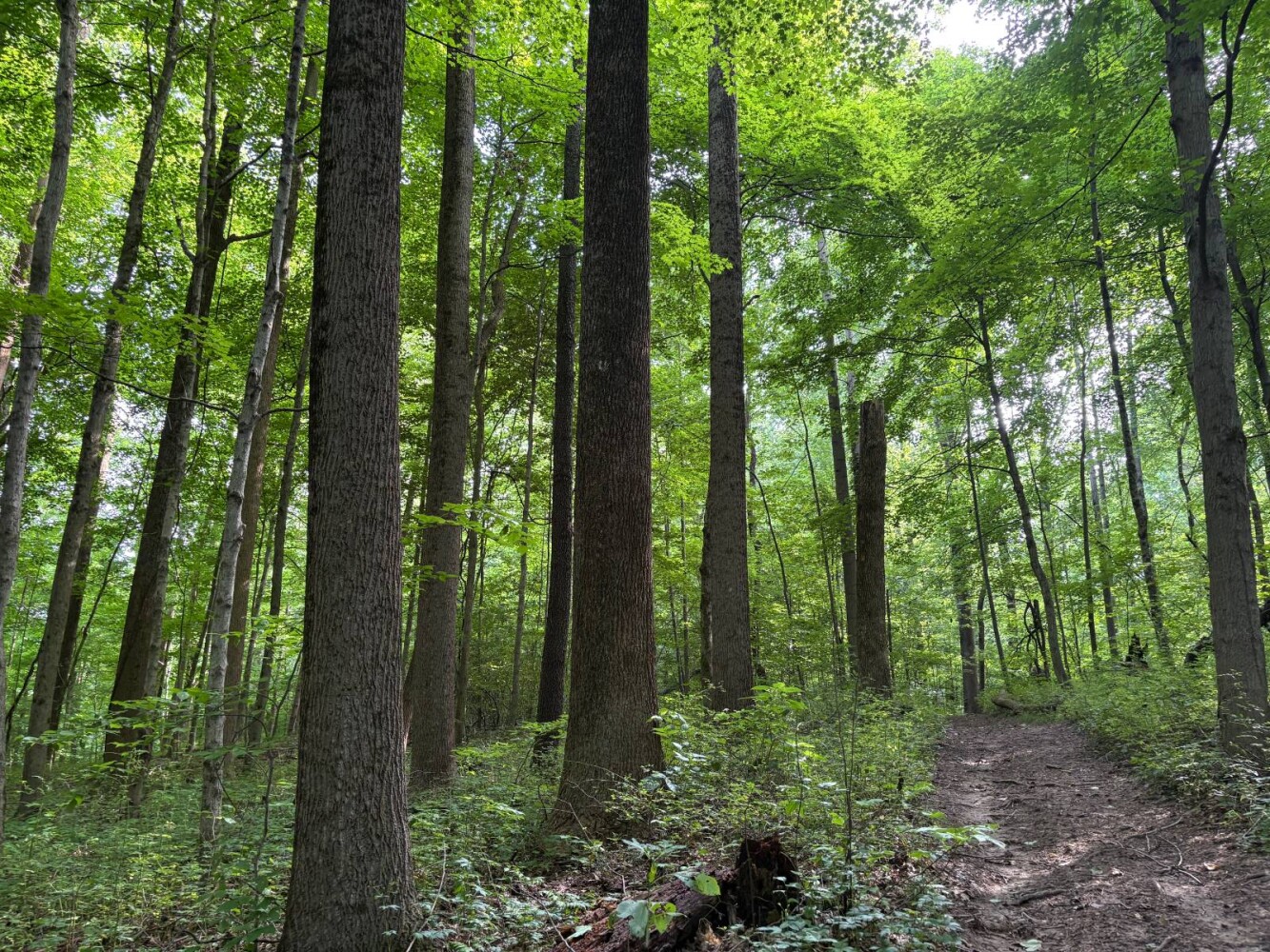 Land for Sale in Franklin County, IN (42 of 64)