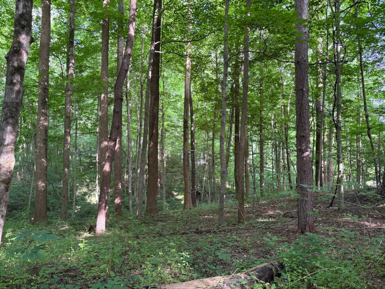 Land for Sale in Franklin County, IN (44 of 64)