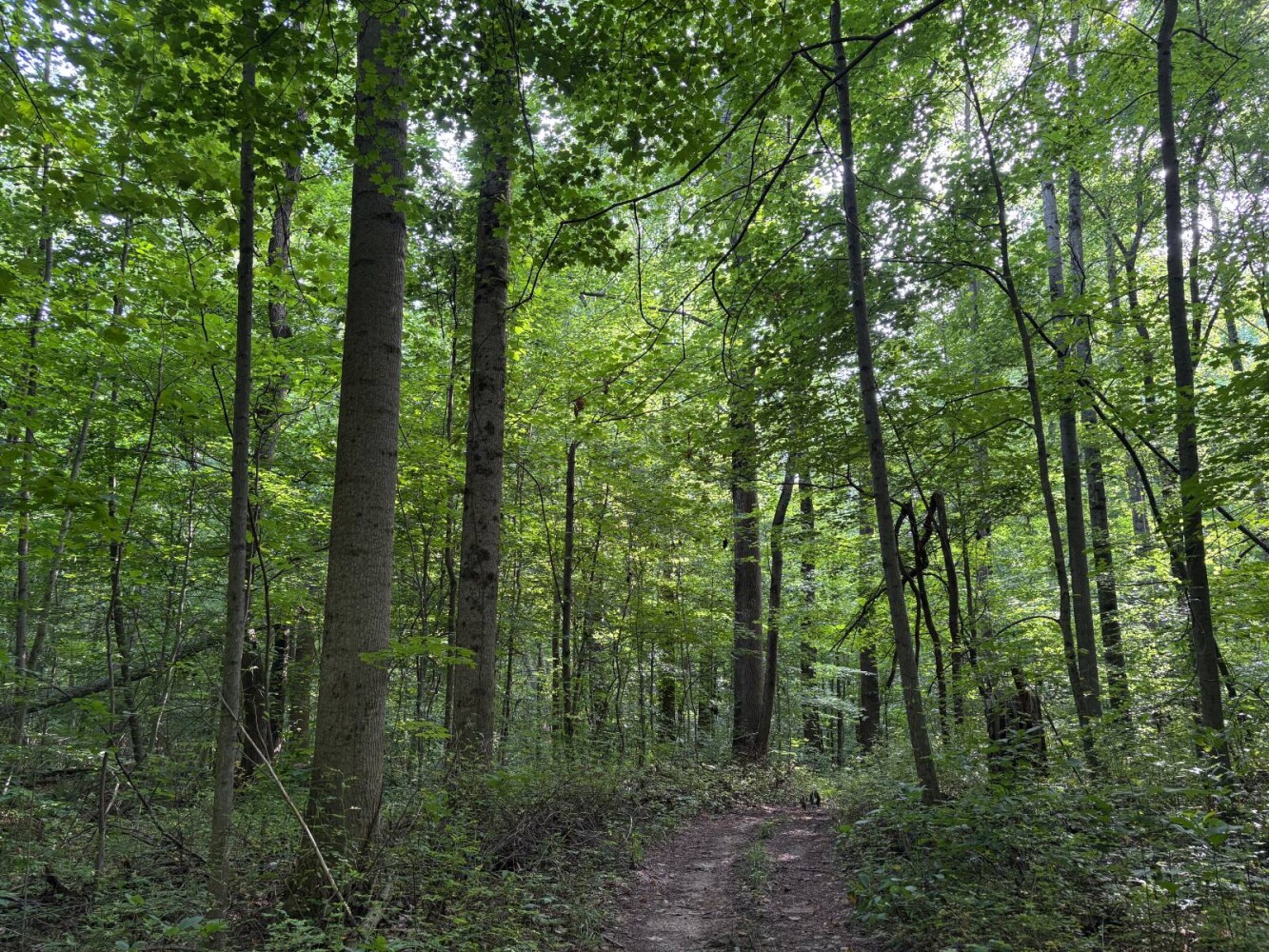 Land for Sale in Franklin County, IN (45 of 64)