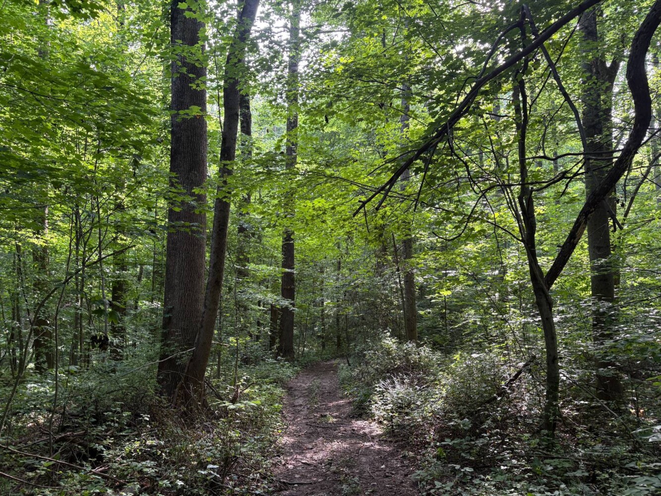 Land for Sale in Franklin County, IN (46 of 64)