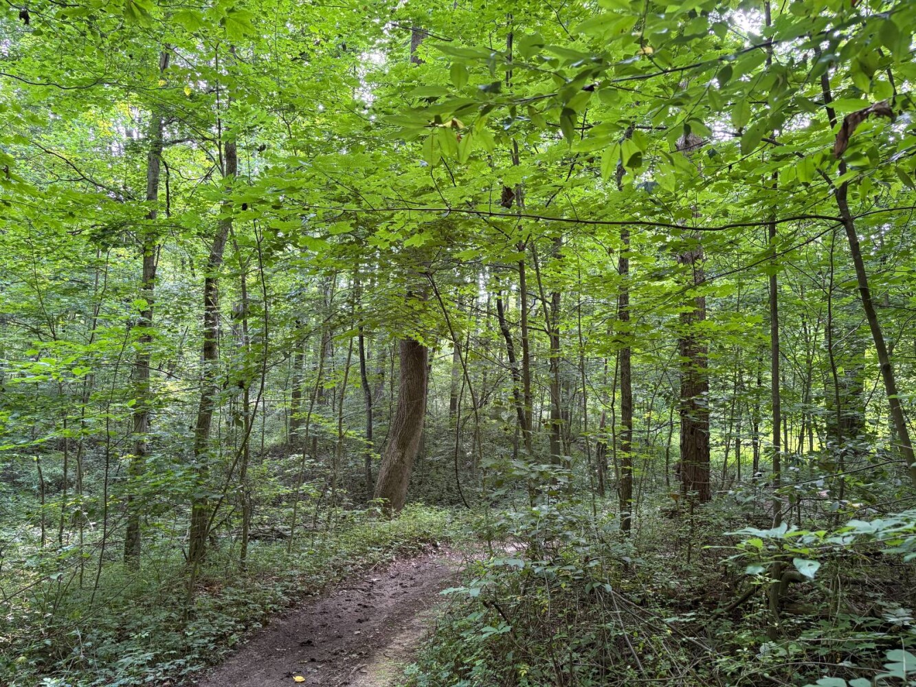 Land for Sale in Franklin County, IN (48 of 64)
