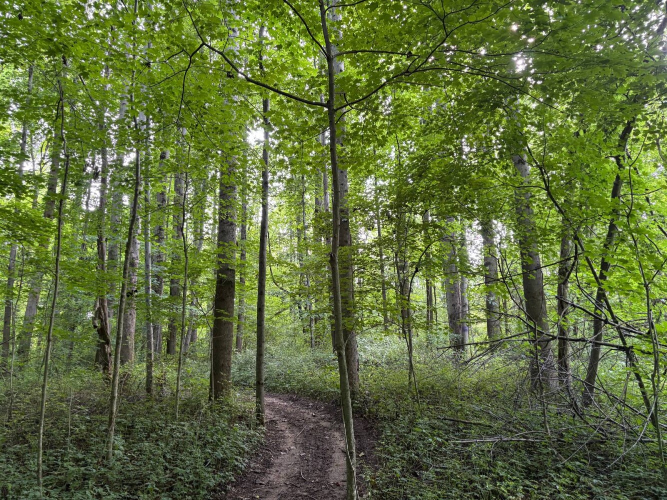 Land for Sale in Franklin County, IN (51 of 64)