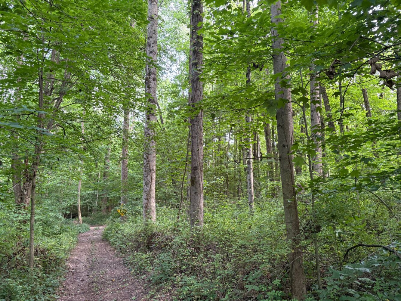 Land for Sale in Franklin County, IN (54 of 64)