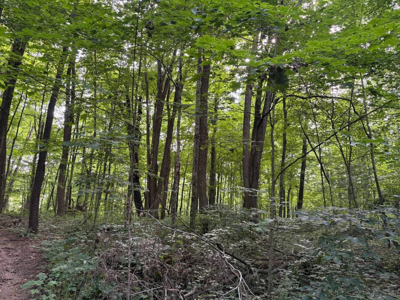 Land for Sale in Franklin County, IN (56 of 64)