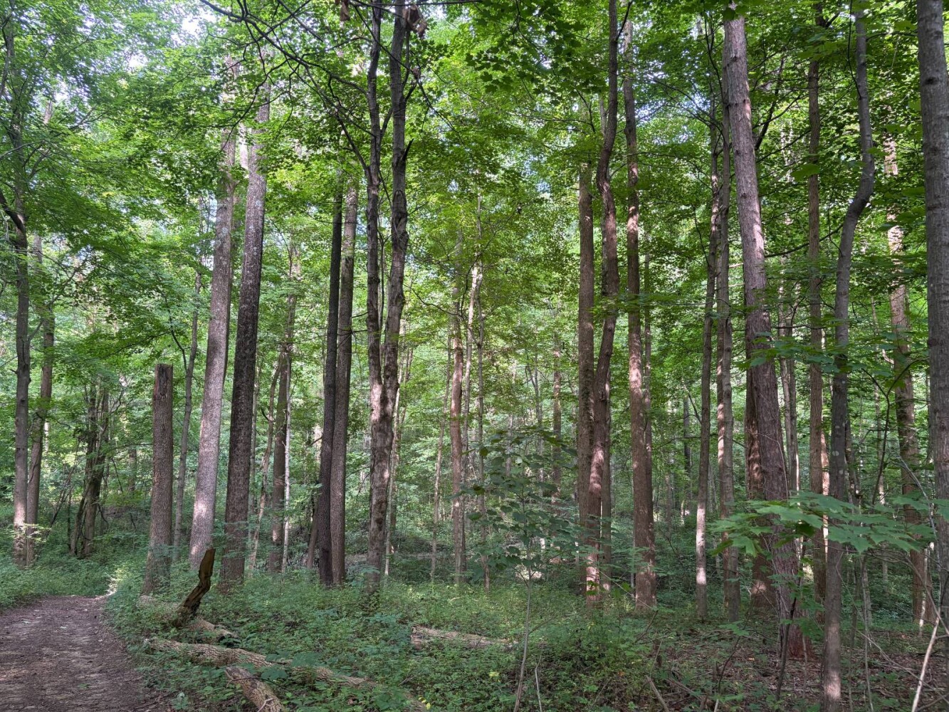 Land for Sale in Franklin County, IN (59 of 64)