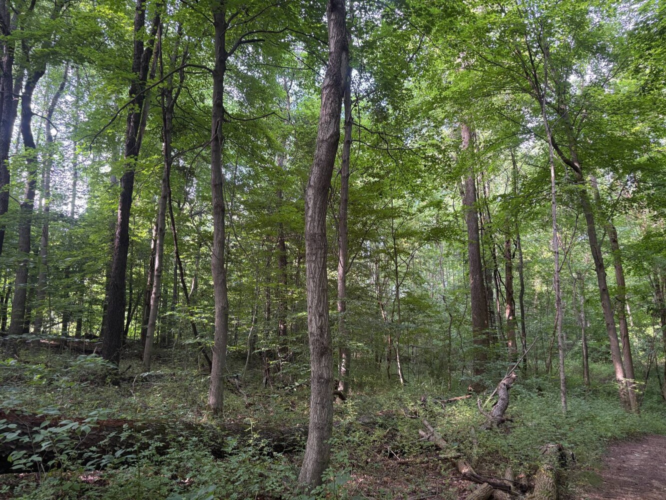 Land for Sale in Franklin County, IN (60 of 64)