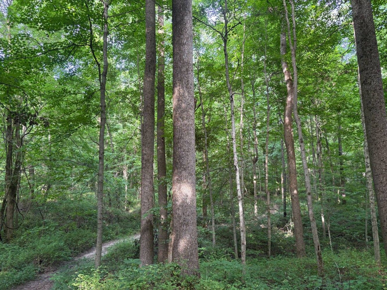 Land for Sale in Franklin County, IN (61 of 64)