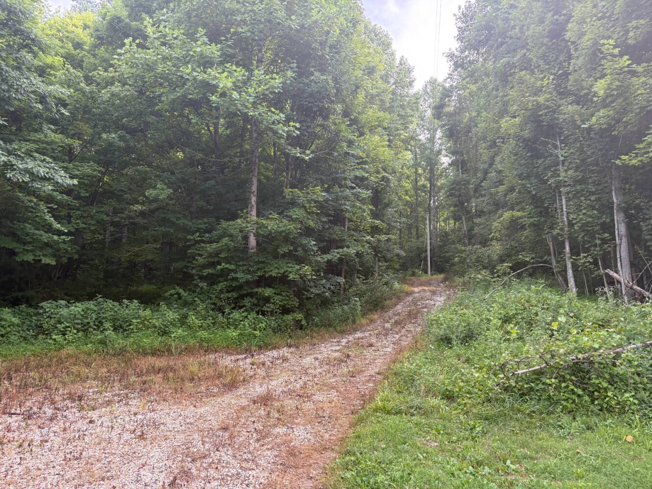 Land for Sale in Franklin County, IN (63 of 64)