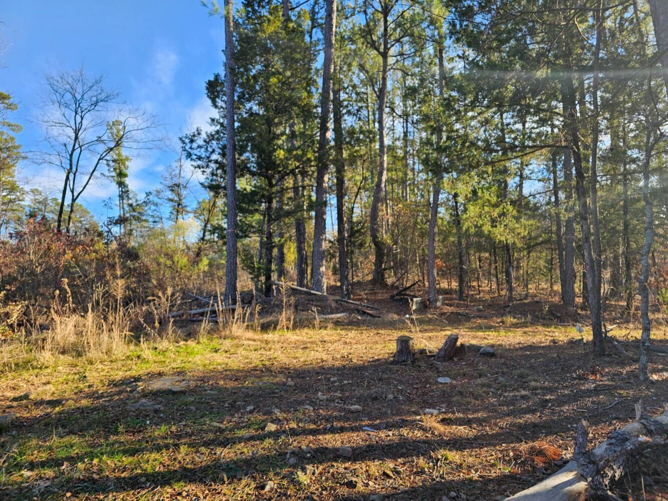 Land for Sale in Latimer County, OK (7 of 12)