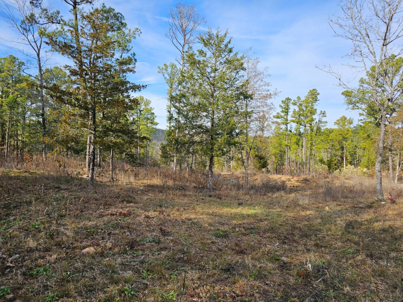 Land for Sale in Latimer County, OK (8 of 12)