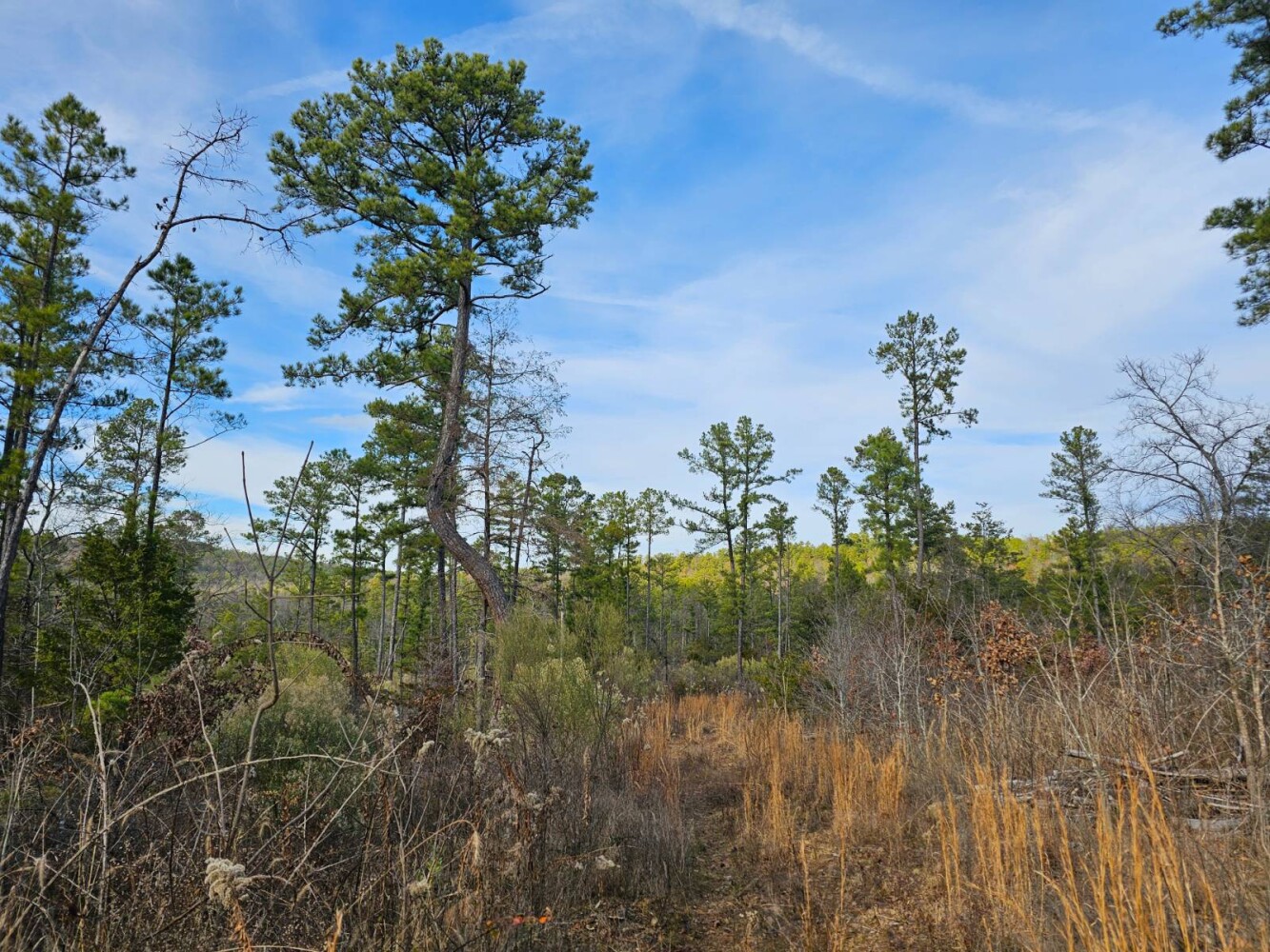 Land for Sale in Latimer County, OK (10 of 12)