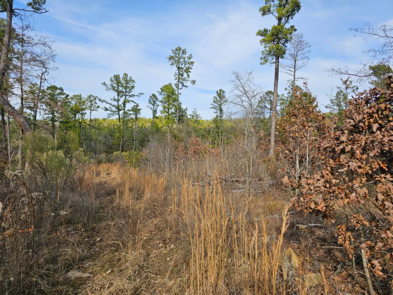 Land for Sale in Latimer County, OK (11 of 12)