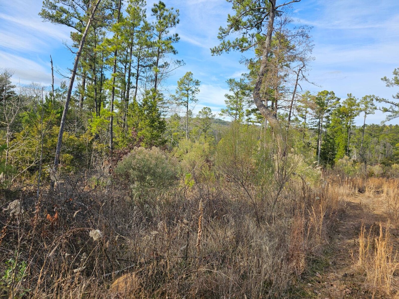 Land for Sale in Latimer County, OK (12 of 12)