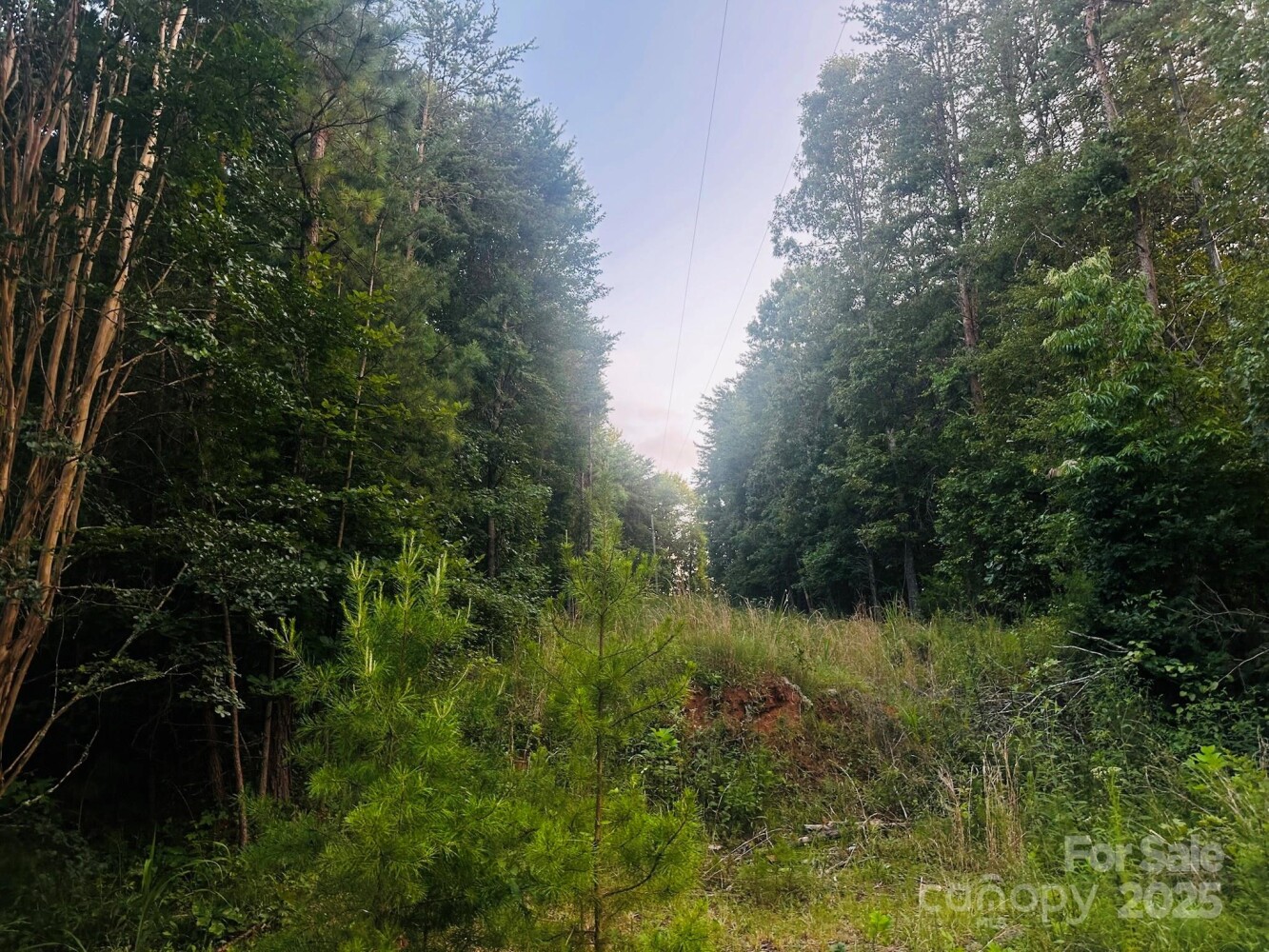 Land for Sale in Rutherford County, NC (2 of 8)