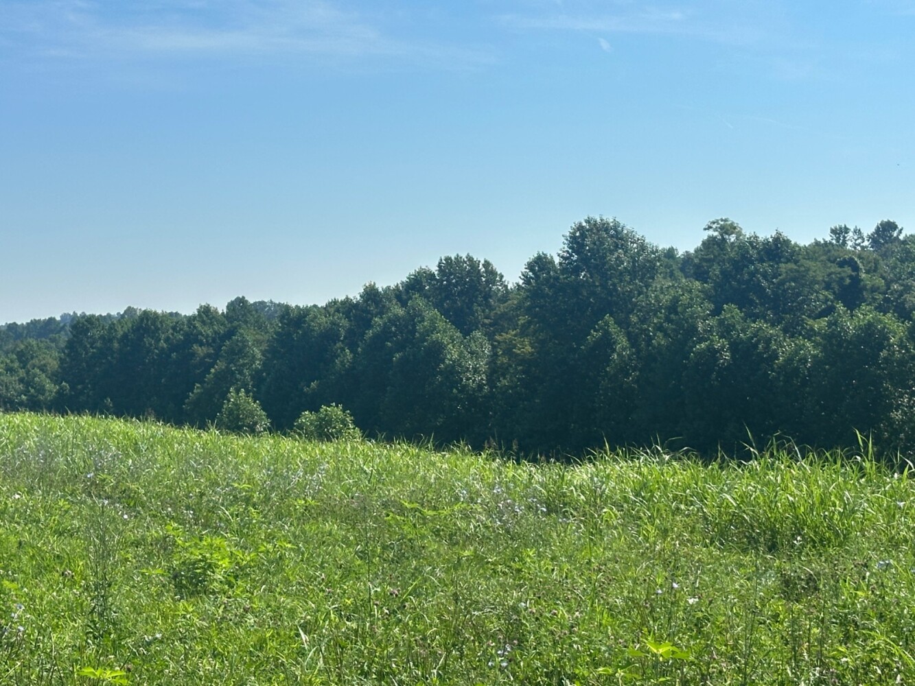 Land for Sale in Casey County, KY (3 of 8)