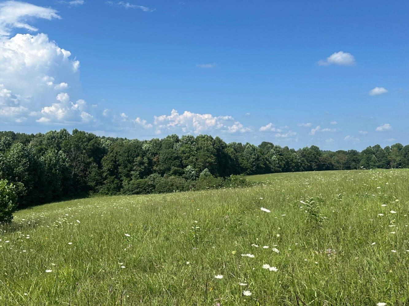Land for Sale in Casey County, KY (5 of 8)