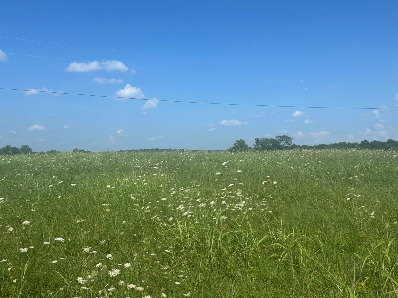 Land for Sale in Casey County, KY (6 of 8)