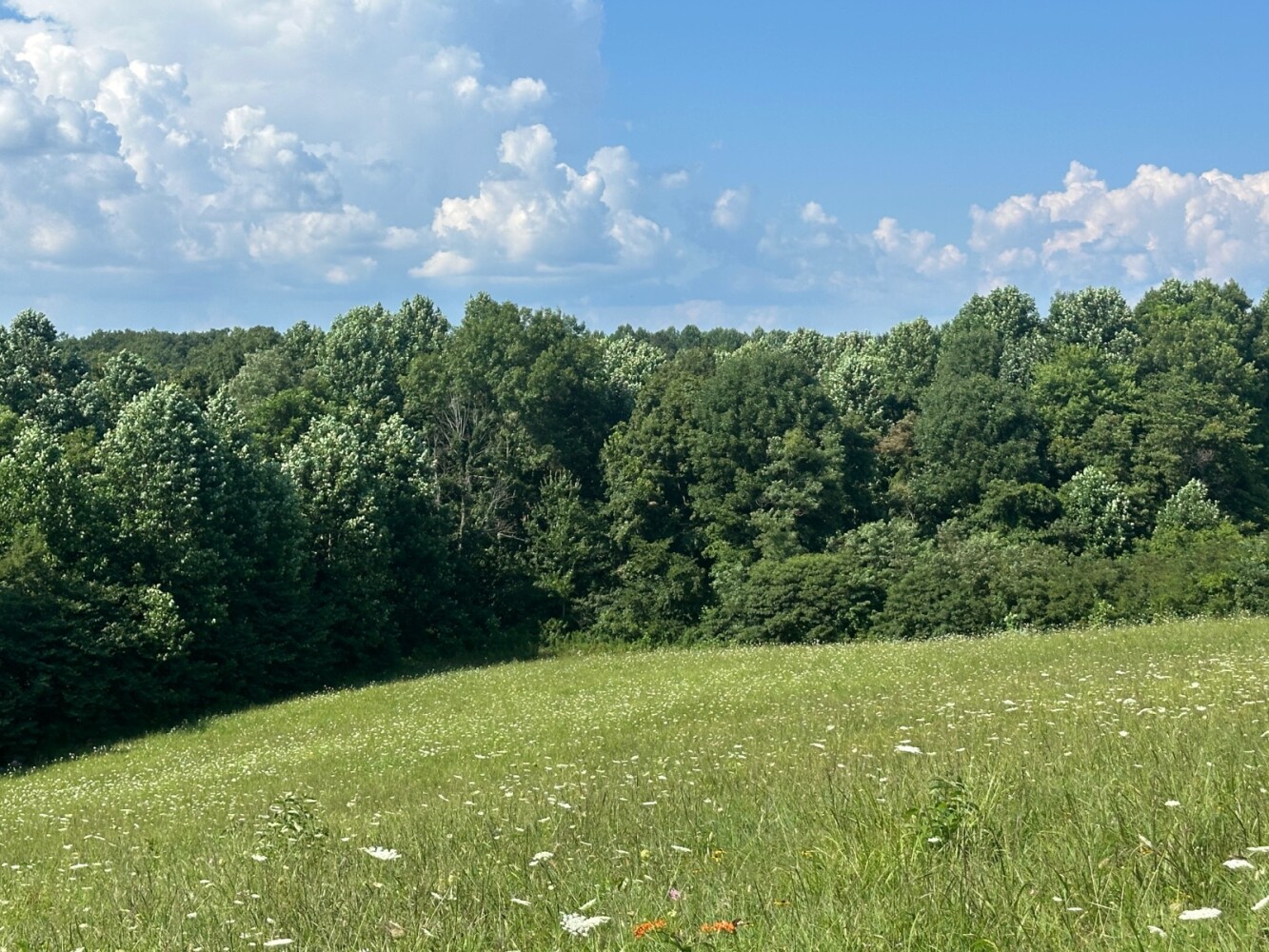 Land for Sale in Casey County, KY (8 of 8)
