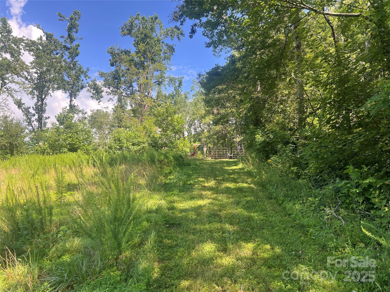 Land for Sale in Yancey County, NC (4 of 35)