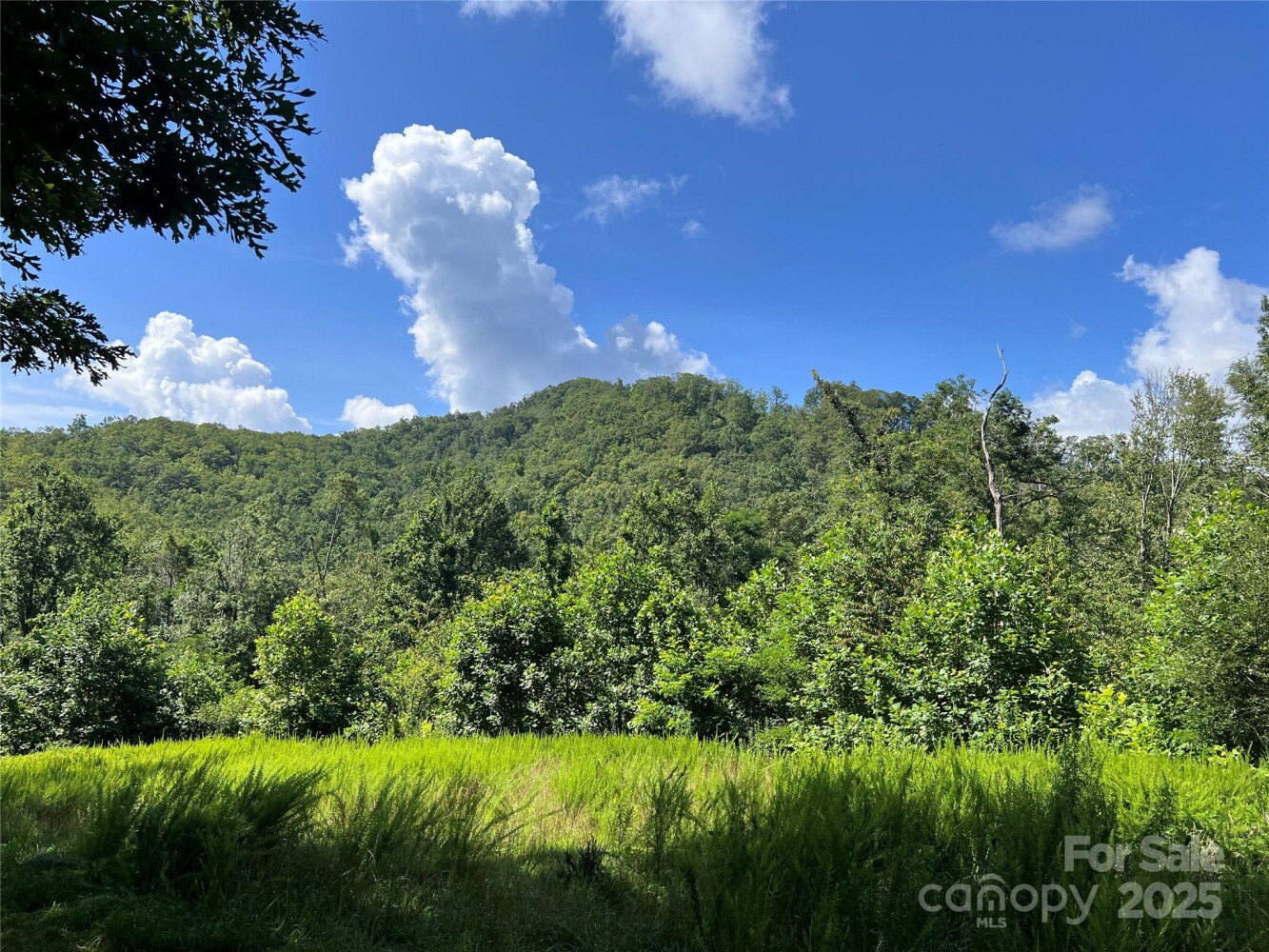 Land for Sale in Yancey County, NC (5 of 35)