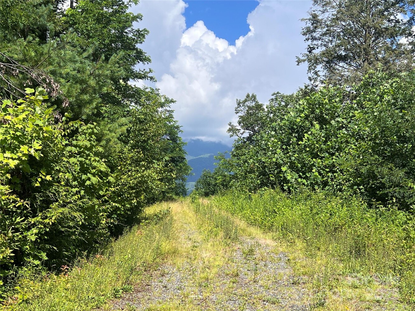 Land for Sale in Yancey County, NC (6 of 35)