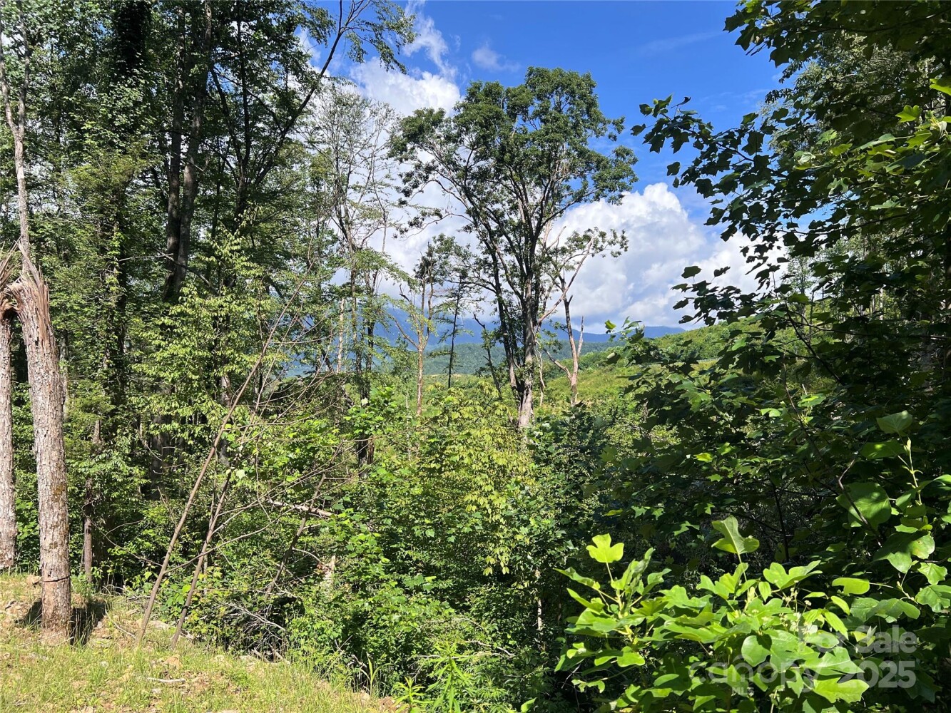 Land for Sale in Yancey County, NC (9 of 35)