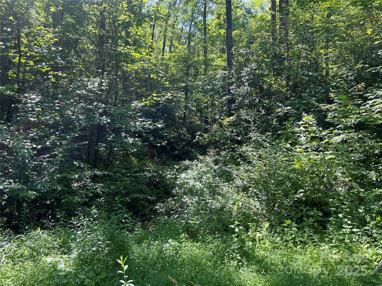 Land for Sale in Yancey County, NC (11 of 35)