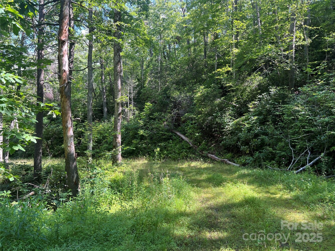 Land for Sale in Yancey County, NC (12 of 35)