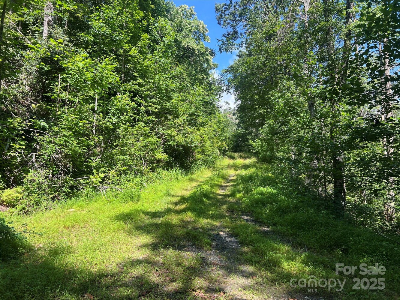 Land for Sale in Yancey County, NC (13 of 35)
