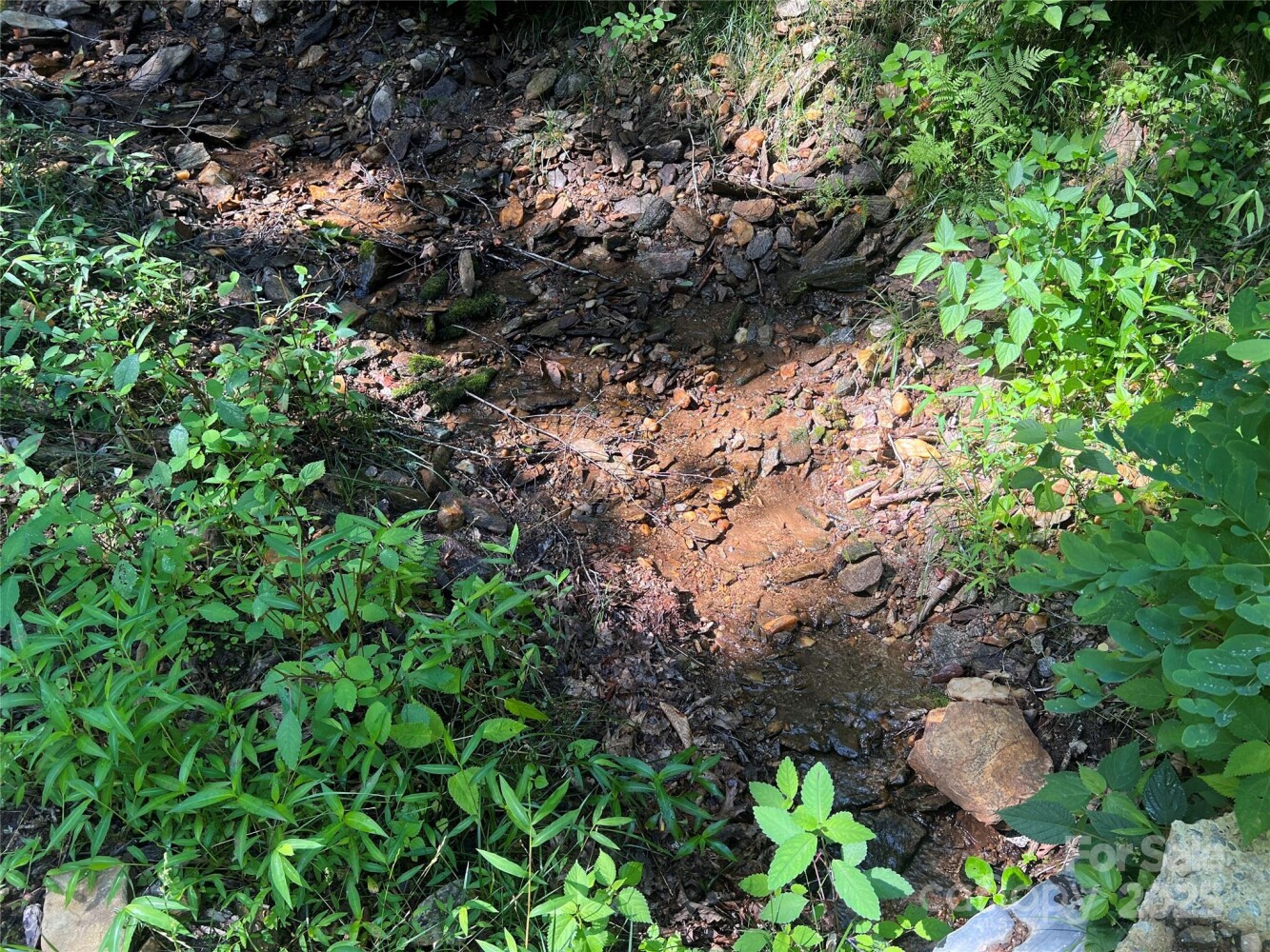 Land for Sale in Yancey County, NC (14 of 35)