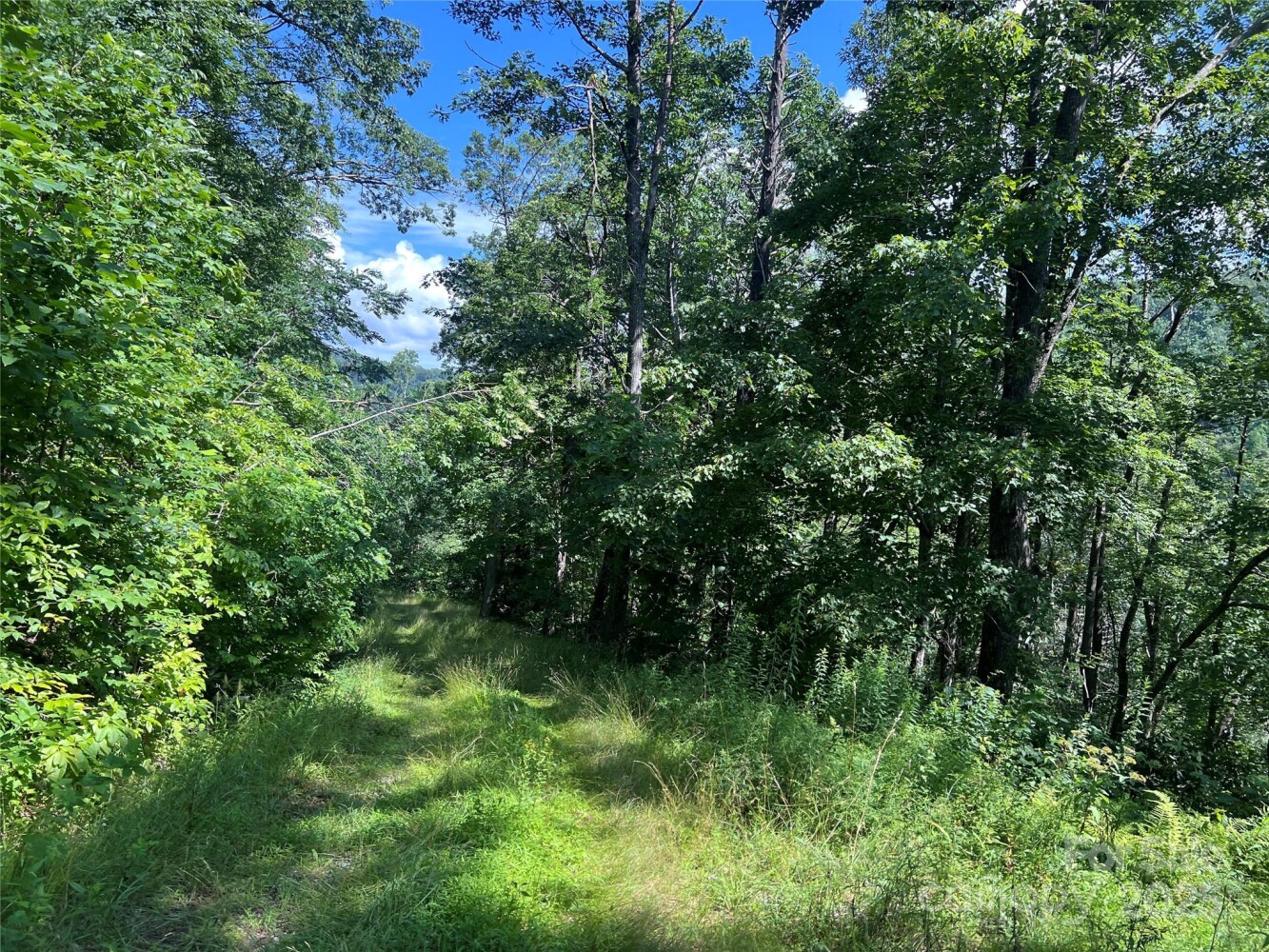 Land for Sale in Yancey County, NC (15 of 35)