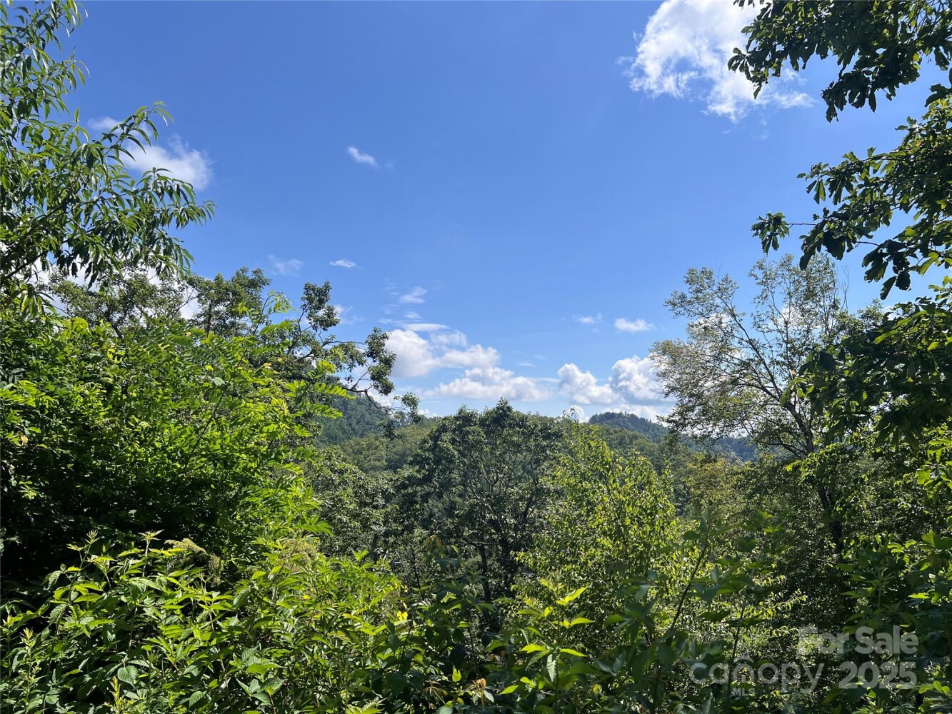 Land for Sale in Yancey County, NC (16 of 35)