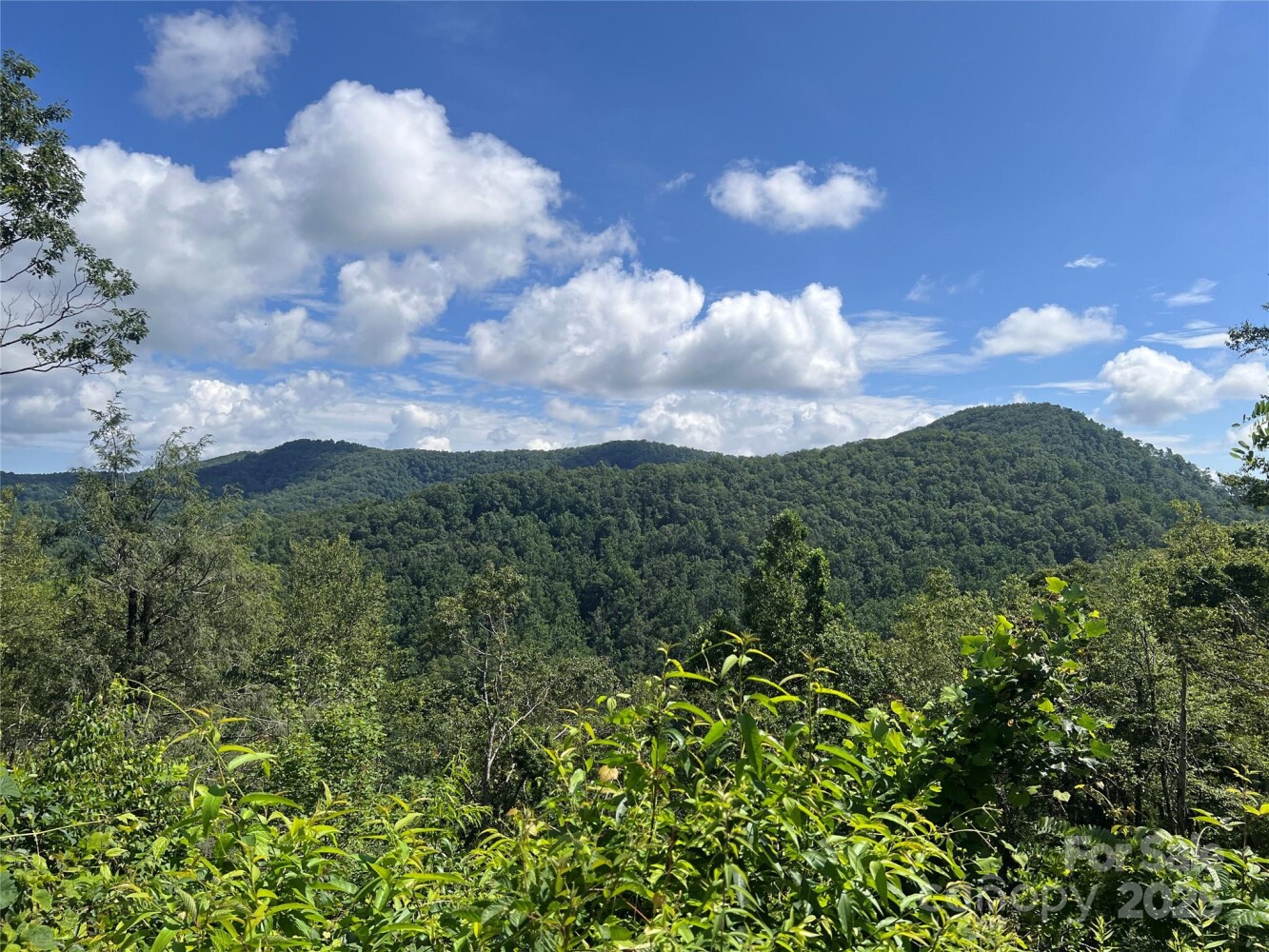 Land for Sale in Yancey County, NC (17 of 35)