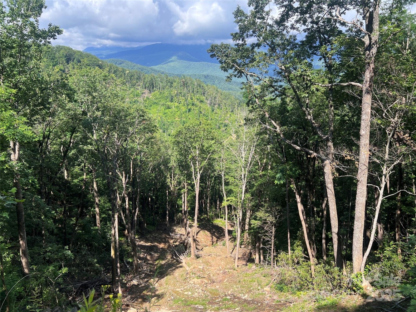 Land for Sale in Yancey County, NC (18 of 35)