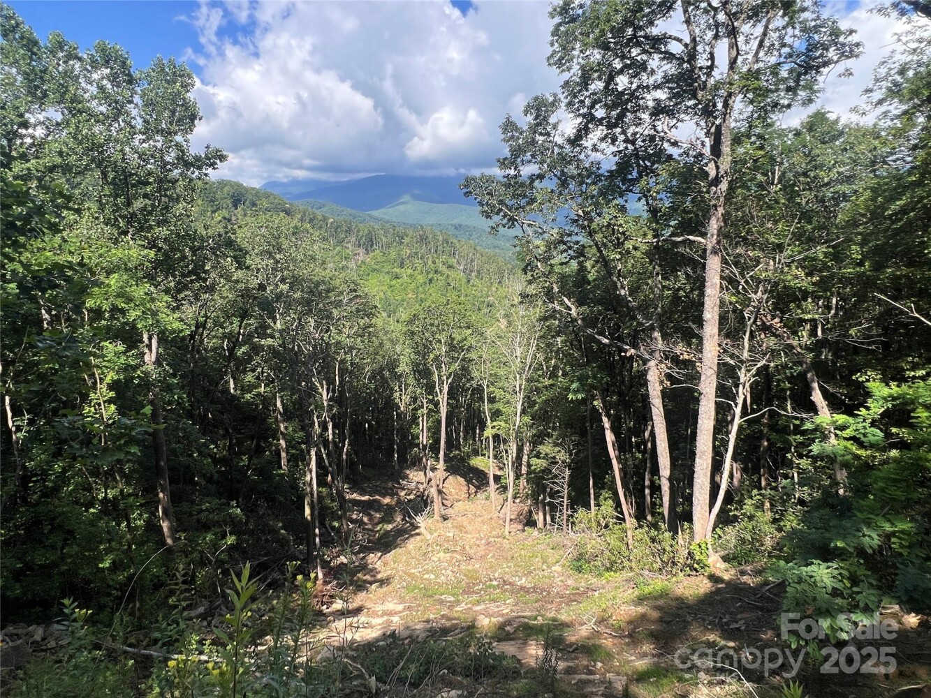 Land for Sale in Yancey County, NC (19 of 35)