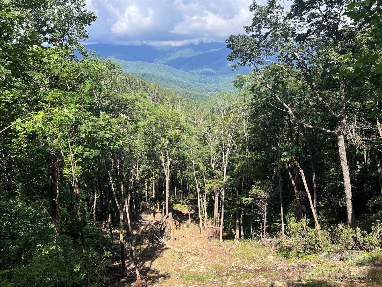 Land for Sale in Yancey County, NC (20 of 35)