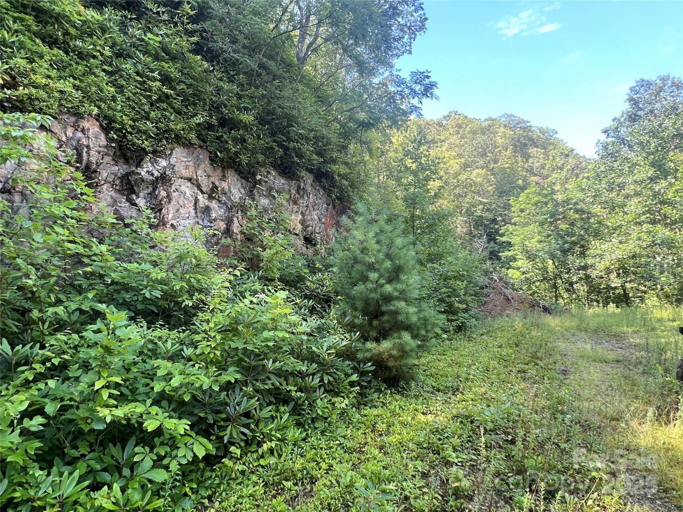 Land for Sale in Yancey County, NC (21 of 35)