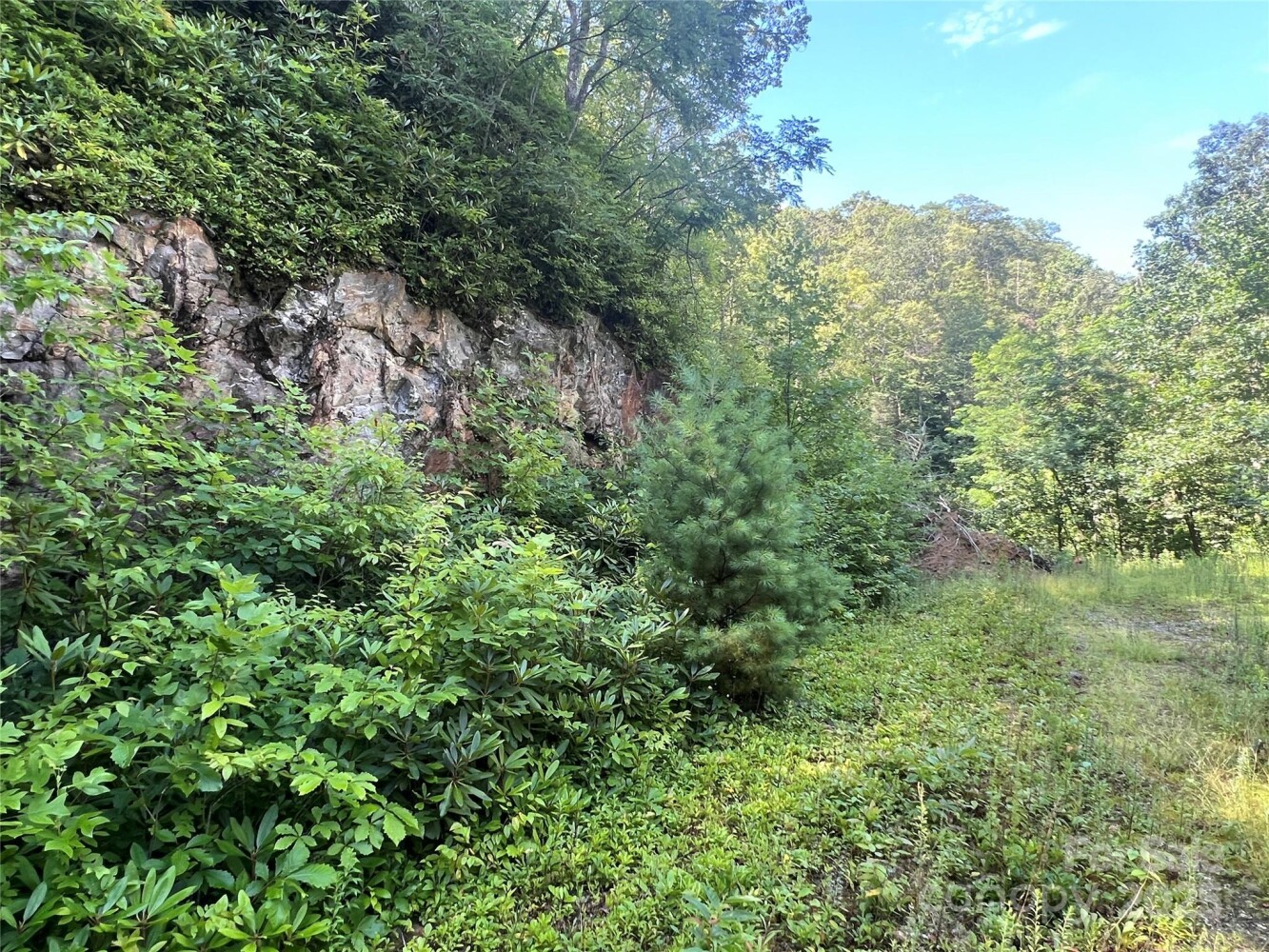 Land for Sale in Yancey County, NC (22 of 35)