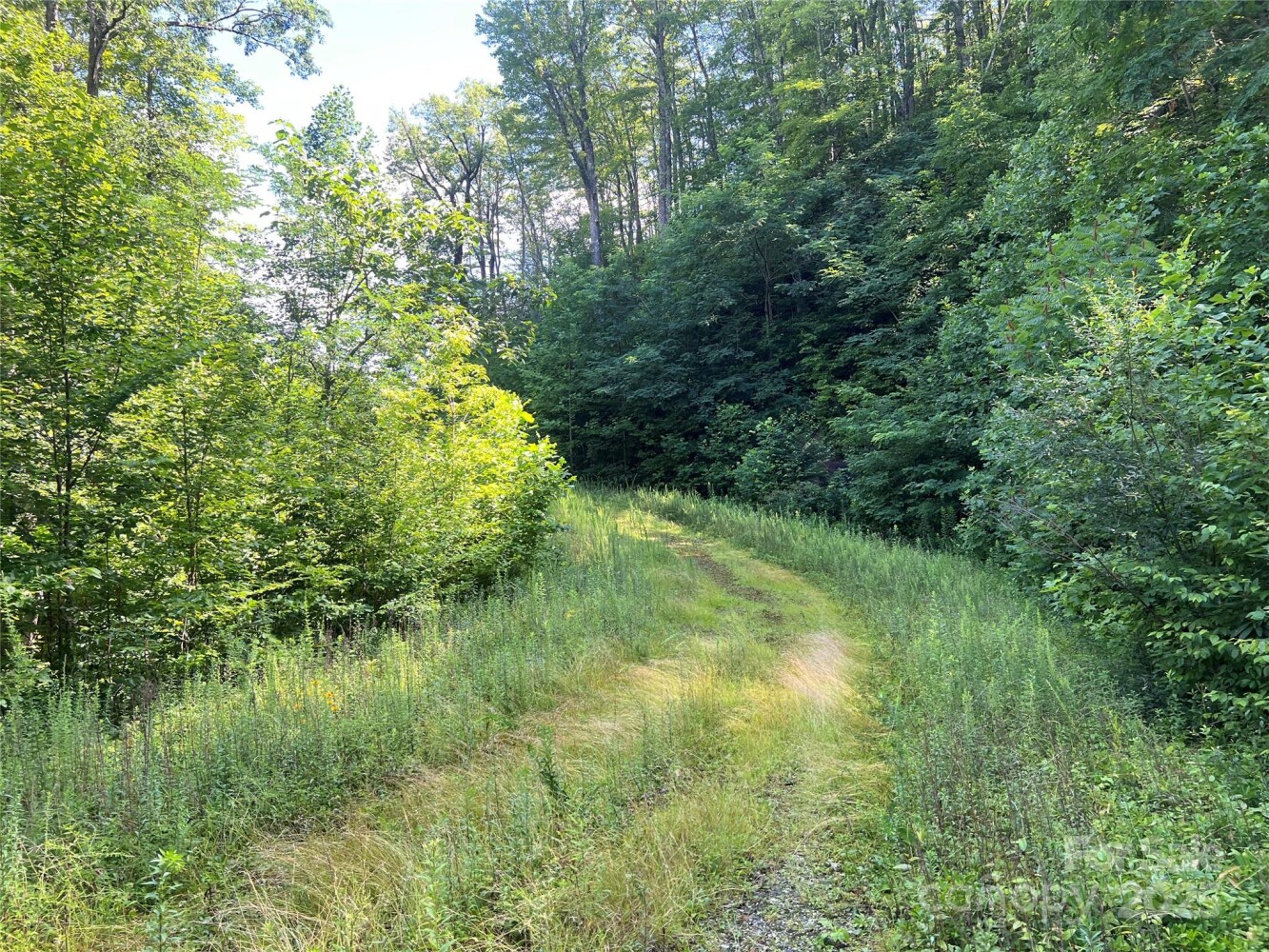 Land for Sale in Yancey County, NC (23 of 35)